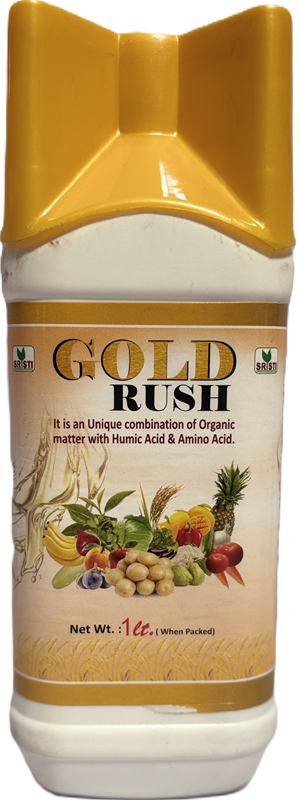 GOLD RUSH 