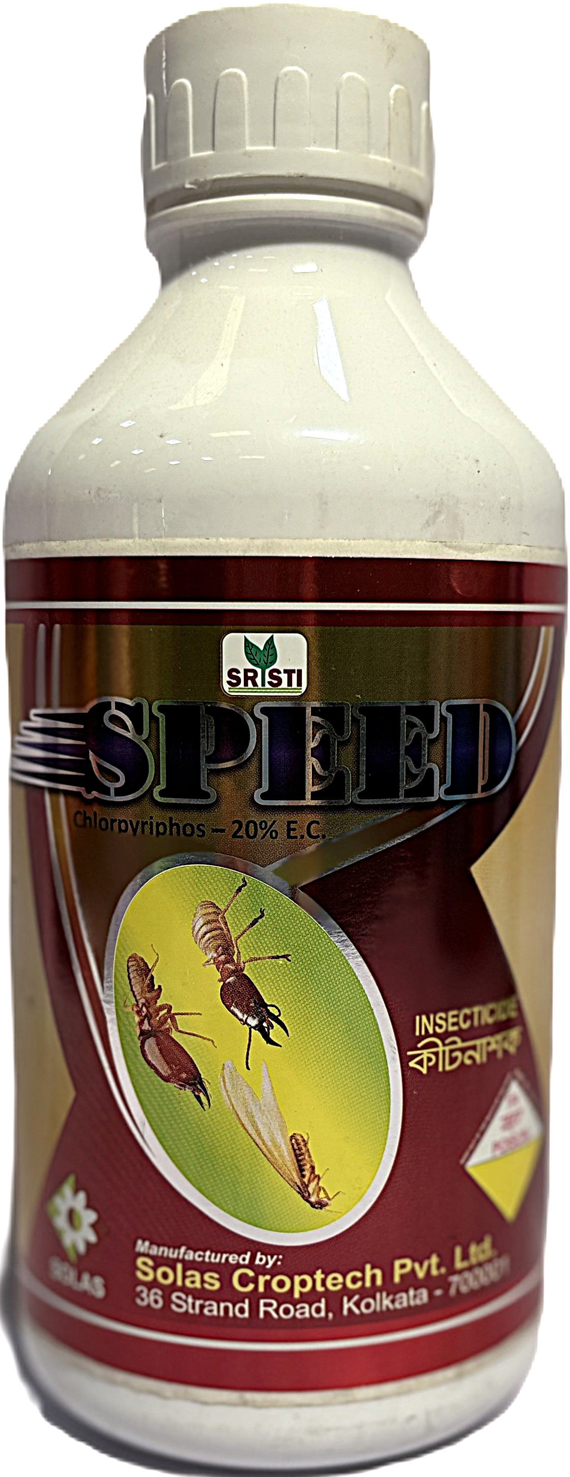 SPEED